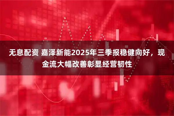 无息配资 嘉泽新能2025年三季报稳健向好，现金流大幅改善彰显经营韧性