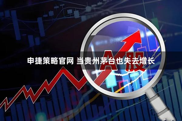 申捷策略官网 当贵州茅台也失去增长