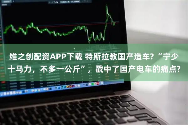 维之创配资APP下载 特斯拉教国产造车? “宁少十马力，不多一公斤”，戳中了国产电车的痛点?