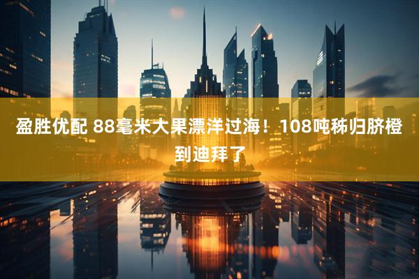 盈胜优配 88毫米大果漂洋过海！108吨秭归脐橙到迪拜了