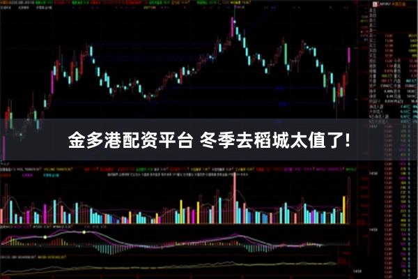 金多港配资平台 冬季去稻城太值了!