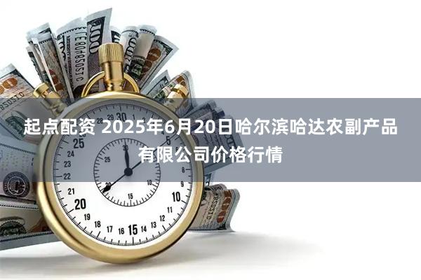 起点配资 2025年6月20日哈尔滨哈达农副产品有限公司价格行情