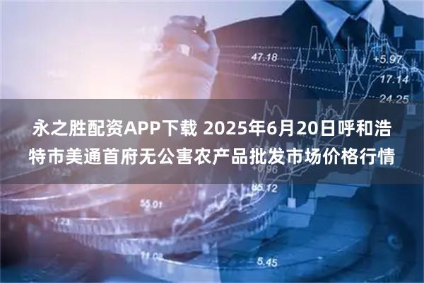 永之胜配资APP下载 2025年6月20日呼和浩特市美通首府无公害农产品批发市场价格行情